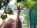 Baltimore Zoo