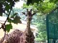 videos de Baltimore Zoo