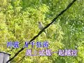 牵手同行 廣東話 詩歌 卡啦OK 07-63 v wey's karaoke