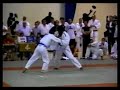 Rameau Thierry Sokoudjou vs Karo Parisyan MPG