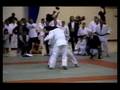 Rameau Thierry Sokoudjou vs Karo Parisyan MPG