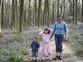 wild-woods.html
