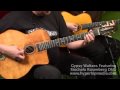 Gypsy Waltzes Featuring Stochelo Rosenberg DVD preview
