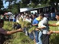 rice harvest festival 2008 by uncle organics corporation