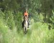 videos de Lits+Lauwers047 It-Leech04