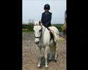 Tealy B - an amazing pony Tealy B - an amazing pony