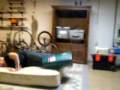 videos de trip
