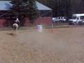 Cheyenne on Mudpie
