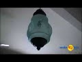 Hotel Barwara Kothi - Jaipur, Rajasthan - MakeMyTrip