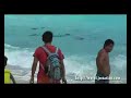 Cancun Mexico ????? Cancun Mexico ?????
