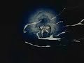 Metallica - Memory Remains mycket bra