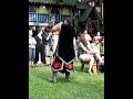 Bristol Renaissance Faire Juggler Bristol Renaissance Faire Juggler