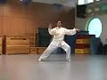 Zhu Tian Cai Chen Taiji