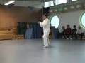 Zhu Tian Cai Chen Taiji
