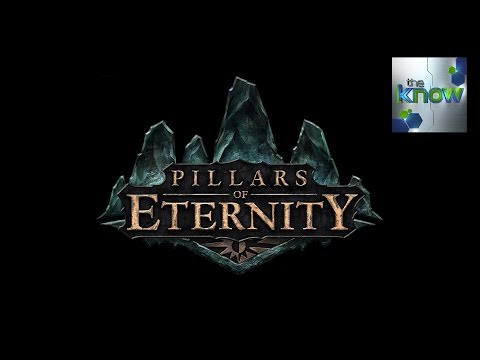 PAX South: Pillars of Eternity Interview - The Know