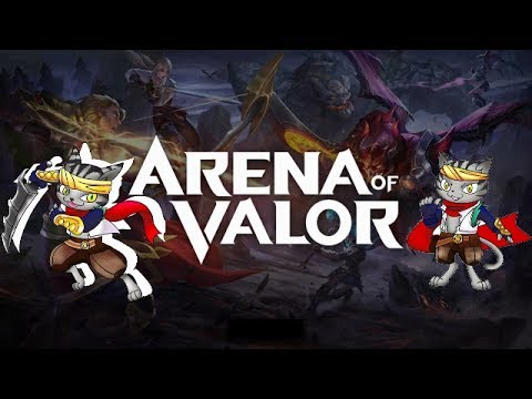 動画
