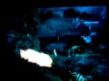 King Kong: The Official Game of the Movie Walkthrough W