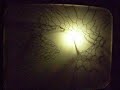 ShadowBoxTest ShadowBoxTest