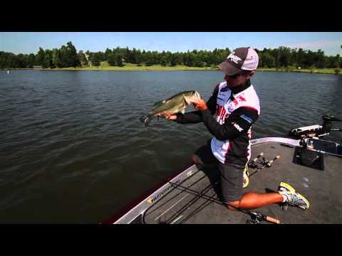 how to sink brush piles