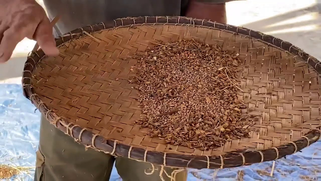 Marché de la lentille 2020