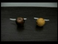 fruit