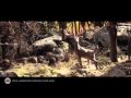Arts and Crafts Zeus (marching Through Your Head) Official Music Video and Lyrics