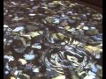 DIY Multi Touch Surface on a Budget (FTIR)