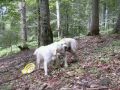 Jesse and Vienna in their trip -better video quality