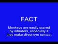 Peta and the creative truth! Animal Testing explained