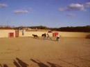 Capea Octubre 2006