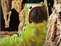 Zero Budget SciFi props Zero Budget SciFi props