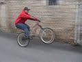Born To Ride Born To Ride