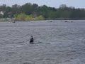 Greenwich Crew Fantastic 4- Greenwich Crew Fantastic 4-