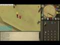 videos de dueling