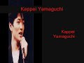 Kappei Yamaguchi face