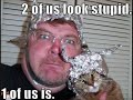 Funny Cat Vid