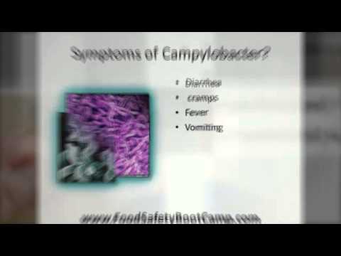 how to isolate campylobacter jejuni