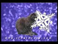Jingle Cats White Christmas
