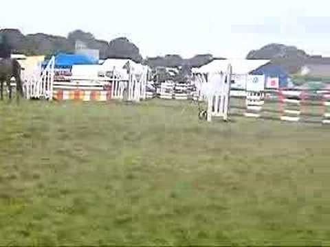 Galway county show day 2