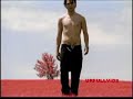 Bam Margera