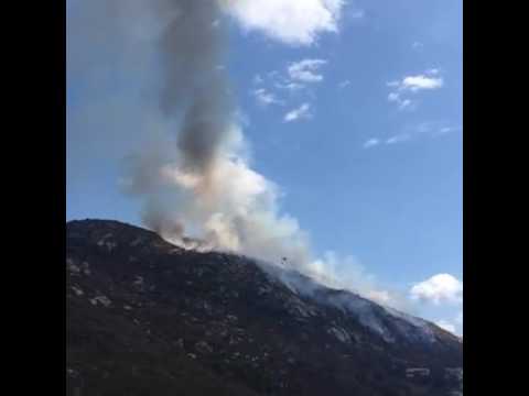 Incendio a Fetovaia