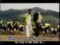 Spine-vaanil