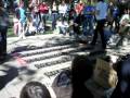 videos de Hamster Ball Race 2009