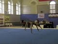 ACROGYM VOLKOV CUP 2008 TRIO JUN. RUSSIA