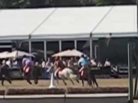 2013 grand national 2013 grand national