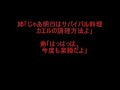 Final Fantasy IV Bloopers 4