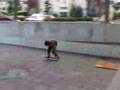 Skate Graffiti CR part 4