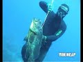 PESCASUB Il Mondo della PescaSub PESCASUB Il Mondo della PescaSub