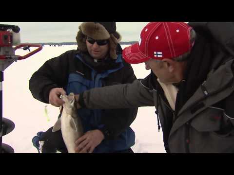 how to locate trout
