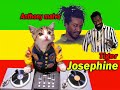 Tiger  Anthony Malvo - Josephine
